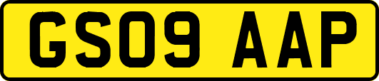 GS09AAP