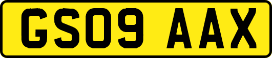GS09AAX