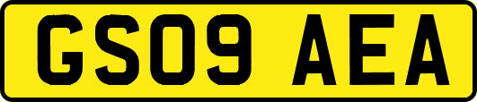 GS09AEA