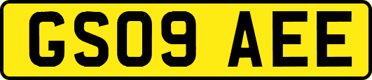 GS09AEE
