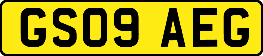 GS09AEG