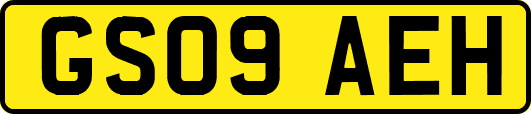 GS09AEH