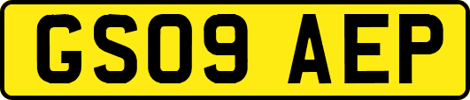 GS09AEP
