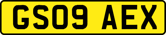 GS09AEX
