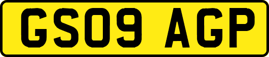 GS09AGP