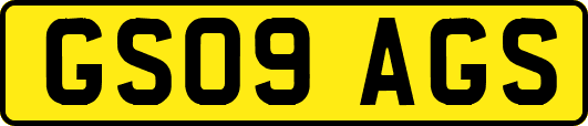 GS09AGS