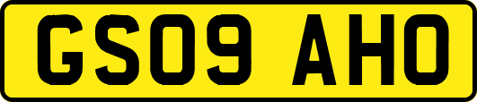 GS09AHO