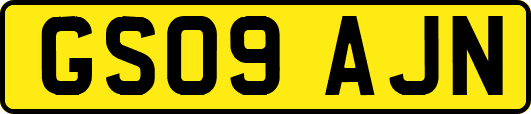 GS09AJN