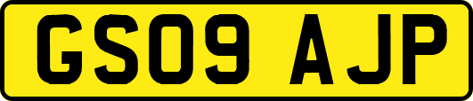 GS09AJP