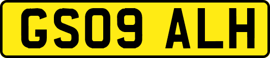 GS09ALH