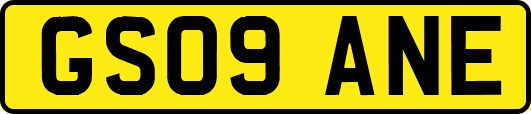 GS09ANE