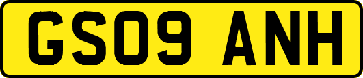 GS09ANH