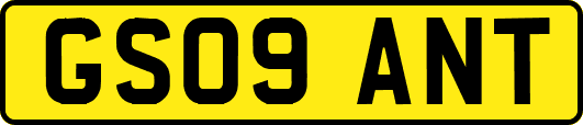 GS09ANT