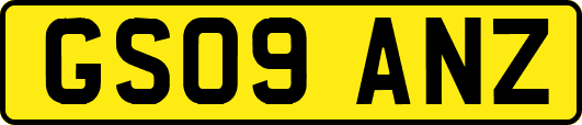 GS09ANZ