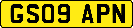 GS09APN