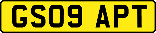 GS09APT