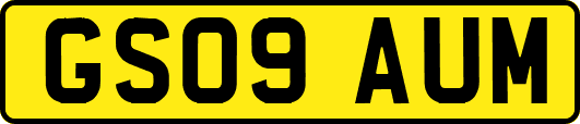 GS09AUM