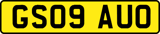 GS09AUO