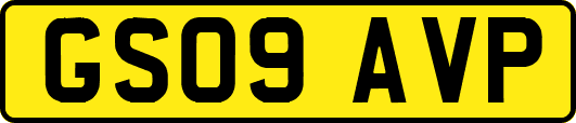 GS09AVP