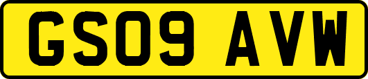 GS09AVW
