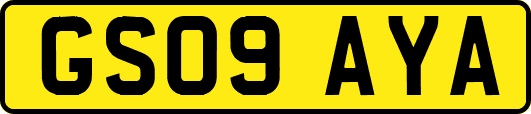 GS09AYA