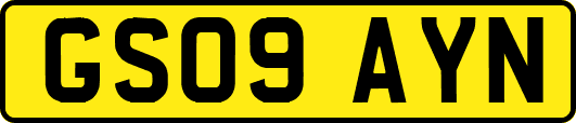 GS09AYN