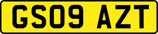 GS09AZT