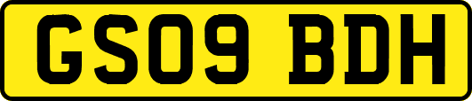 GS09BDH