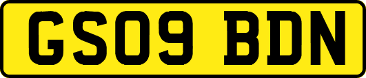GS09BDN