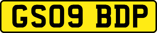GS09BDP