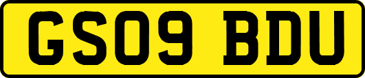 GS09BDU