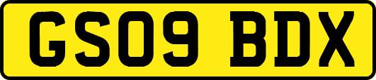 GS09BDX