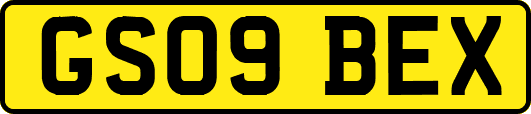 GS09BEX