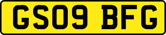 GS09BFG