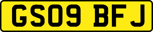 GS09BFJ