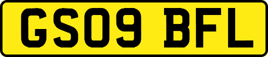 GS09BFL