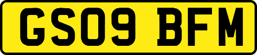 GS09BFM