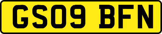 GS09BFN