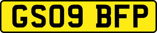 GS09BFP