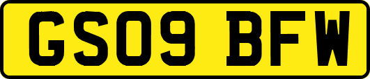 GS09BFW