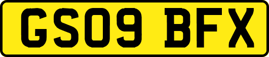 GS09BFX