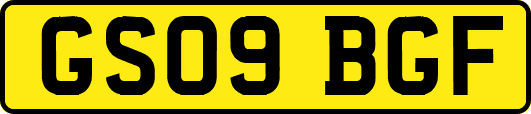 GS09BGF