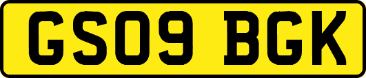 GS09BGK