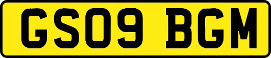 GS09BGM