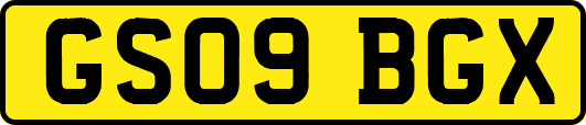GS09BGX