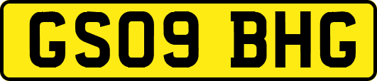 GS09BHG