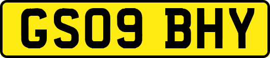 GS09BHY