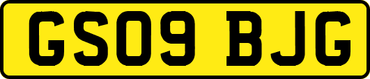 GS09BJG