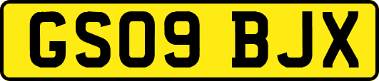 GS09BJX