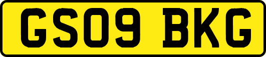 GS09BKG